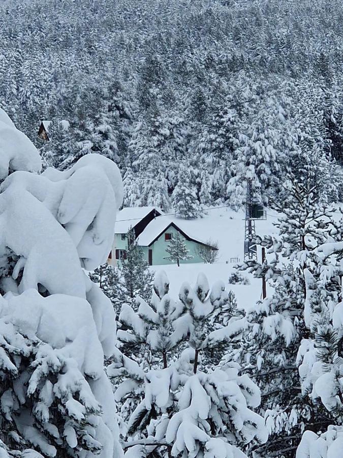 Green Cottage Blidinje Bagian luar foto